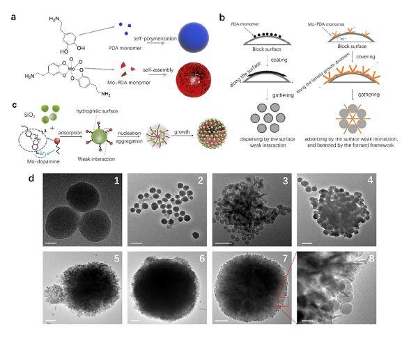 Nano Energy：Ni0.85Co0.15WO4纳米片电极用于超级电容器